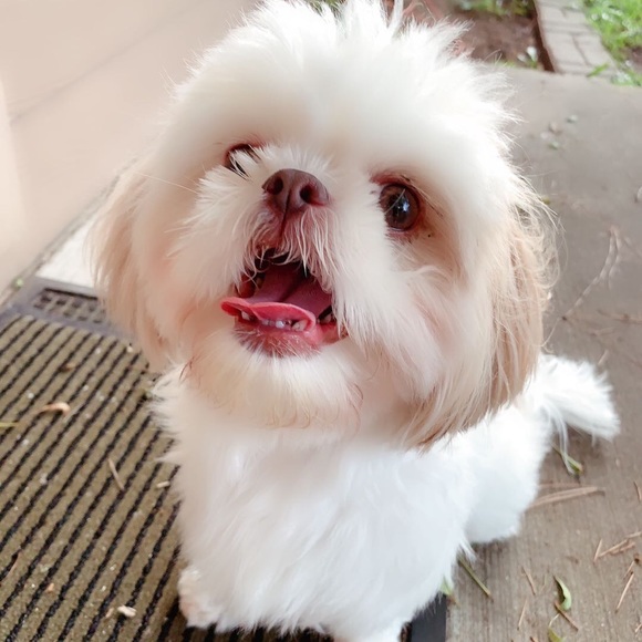 Meet your Posher, Jeremy - Picture 1 of 1